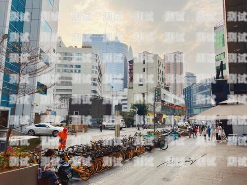 探索深圳老街區的科技魅力，電話機器人的故事深圳老街區電話機器人客服
