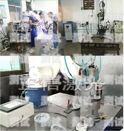 探索東莞電話機器人的無限可能東莞電話機器人廠家直銷電話