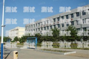 延長縣高級中學電話機器人，提升溝通效率的創新工具延長縣高級中學初中部