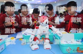 創(chuàng)業(yè)電話機器人——創(chuàng)新科技助力企業(yè)發(fā)展創(chuàng)業(yè)電話機器人怎么做