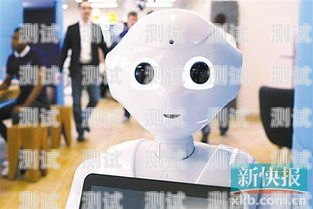 探索萌芽電話機器人——未來通訊的新力量萌萌智能機器人