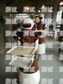 電話機器人食品——科技與美食的奇妙融合電話機器人產品
