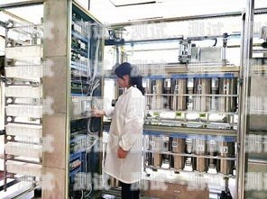 蘭州電話機器人，科技助力城市發展蘭州電話機器人