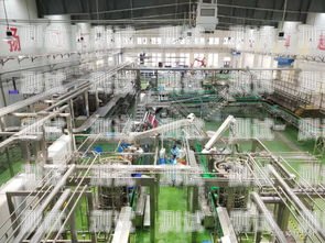 綏芬河電話機器人，助力經濟發展的創新力量綏芬河電話機器人專賣店