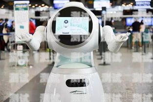 探索飛鳥云電話機器人——智能通信的未來飛鳥云電話機器人app