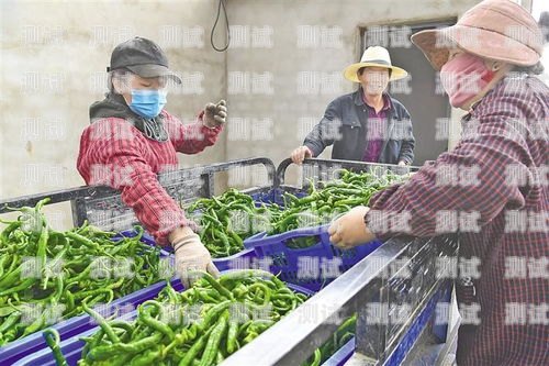 西藏智能電話機(jī)器人，助力西藏經(jīng)濟(jì)發(fā)展的新力量西藏智能電話機(jī)器人公司