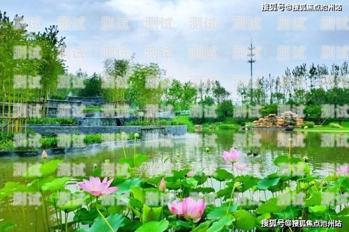 湖州電話機器人市價的全面解析湖州機器人產業基地
