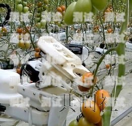電話機器人系統的缺點及應對策略電話機器人系統缺點有哪些