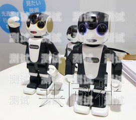 定制電話機器人價格的全面解析定制電話機器人價格多少