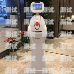租用電話機(jī)器人——提高效率的明智之選租用電話機(jī)器人多少錢(qián)