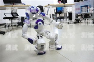 云蝙蝠電話機器人，未來客服的新選擇云蝙蝠電話機器人app