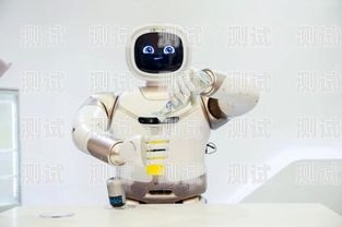 開封電話機器人報價，提升效率與降低成本的智能選擇開封機器人廠