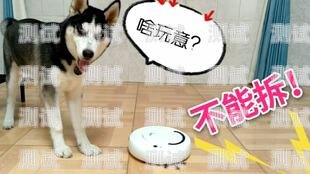 二哈電話機器人，智能助手還是科技陷阱？二哈電話機器人怎么用