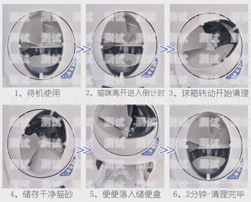 尚且貓電話機器人價格，性價比之選