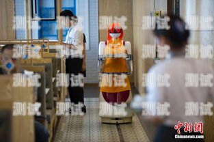 海口電話機器人，提升效率還是增加負(fù)擔(dān)？海口機器人餐廳在哪里