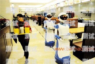浙江電話機器人服務熱線，高效、便捷的溝通橋梁浙江電話機器人服務熱線號碼