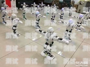 北京電話機(jī)器人租賃，提升效率的智能選擇北京電話機(jī)器人租賃廠家地址