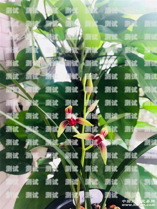 電話機器人，提升效率與客戶體驗的利器電話機器人有什么好處和壞處