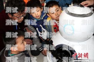 天水探意電話機器人，智能客服的新革命探意機器人多少錢