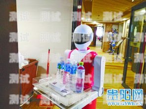 貴州電話機器人營銷團隊，創新與突破的力量貴州電話機器人營銷團隊有哪些