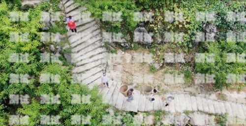 彭水縣電話機器人公司，創新科技，助力企業發展彭水縣電話機器人公司地址