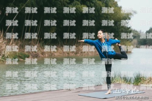 揭秘黑斑馬電話機器人銷售的真相斑馬ai機器人