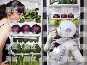 伊春電話機器人哪家好？伊春手機店電話號碼