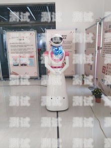 濟寧電話機器人廠家排名濟寧電話機器人廠家排名前十