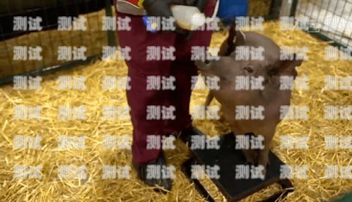 羊毛豬電話機器人騙局，揭秘背后的真相與防范措施羊毛豬網絡科技有限公司