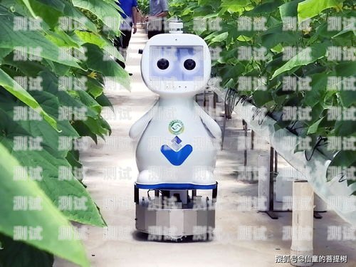 福建 AI 電話機(jī)器人招商福建ai電話機(jī)器人招商平臺(tái)
