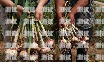 涪陵區電話機器人維修，保障高效服務的關鍵涪陵區電話機器人維修點
