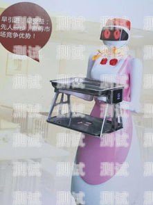 北京電話機(jī)器人好不好？北京電話機(jī)器人租賃廠家