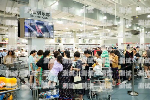 大足縣電話機器人維修，讓機器人重煥生機大足縣電話機器人維修店