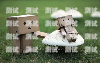 紙箱電話機(jī)器人推薦哪款紙箱電話機(jī)器人推薦哪款好