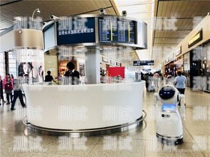 昆明電話機器人哪家好？昆明機器人體驗館