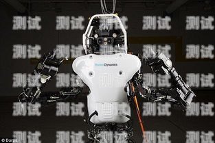 韶關戶外電話機器人公司，創新科技，引領未來韶關戶外電話機器人公司有哪些