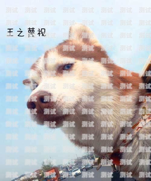 二哈接電話機(jī)器人——科技與寵物的奇妙結(jié)合二哈接電話機(jī)器人圖片