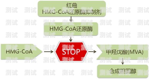 電話機器人的用途電話機器人有什么用途和功能