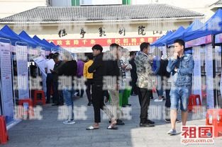保亭縣電話機器人招聘啟事保亭縣電話機器人招聘信息