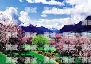 林芝地區(qū)電話機(jī)器人維修指南林芝地區(qū)電話機(jī)器人維修電話