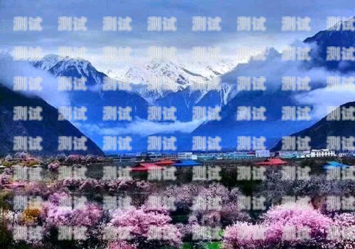林芝地區電話機器人維修指南林芝地區電話機器人維修電話