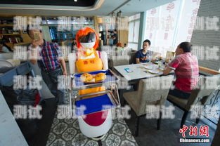 海口電話機器人排名前十海口機器人餐廳在哪里