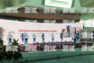 白云區(qū)電話機器人服務(wù)哪家好？白云區(qū) 機器人