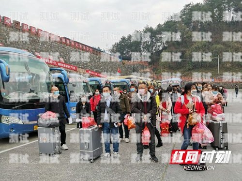 德江縣電話機器人收費標準機器人電話多少錢